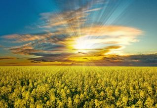 Жаңа күн жарығы