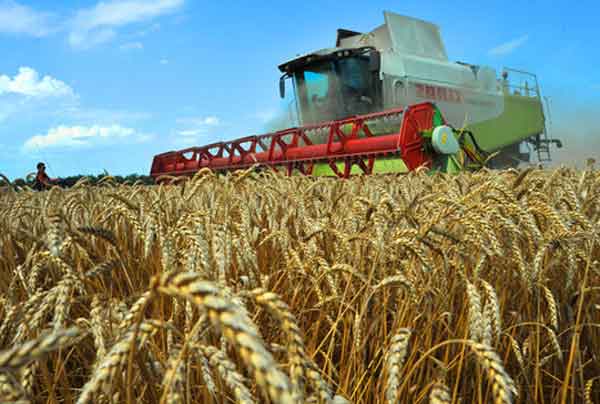 Еуразияның "астық себетіне" айнала аламыз ба?