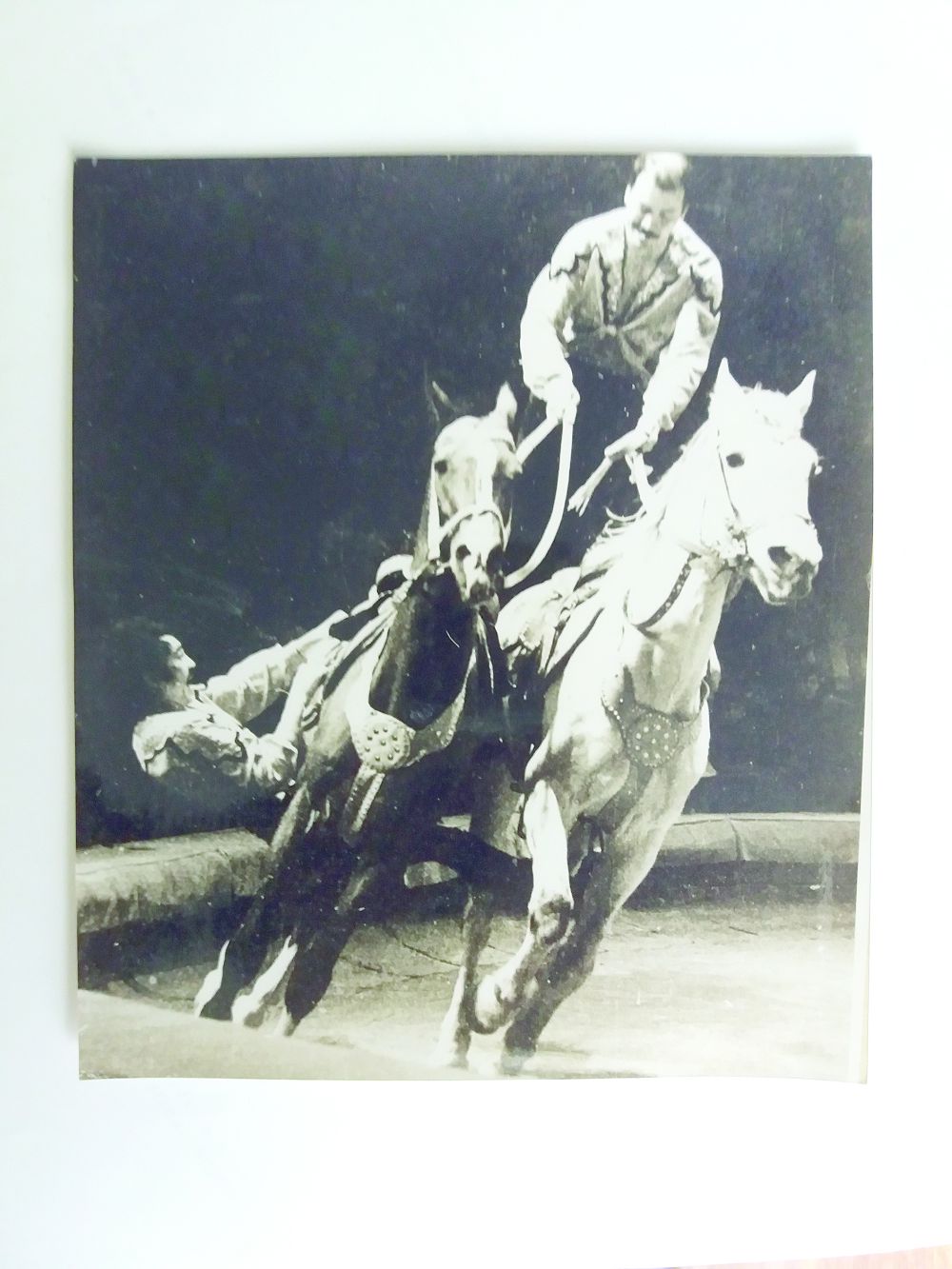 Трюк орындаған тарландар