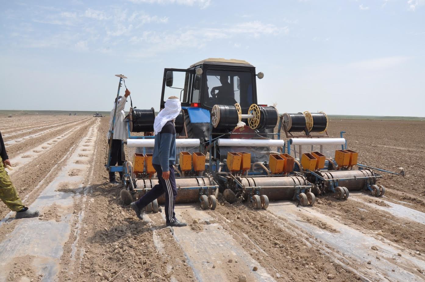 Шитті мақтадан табыс мол