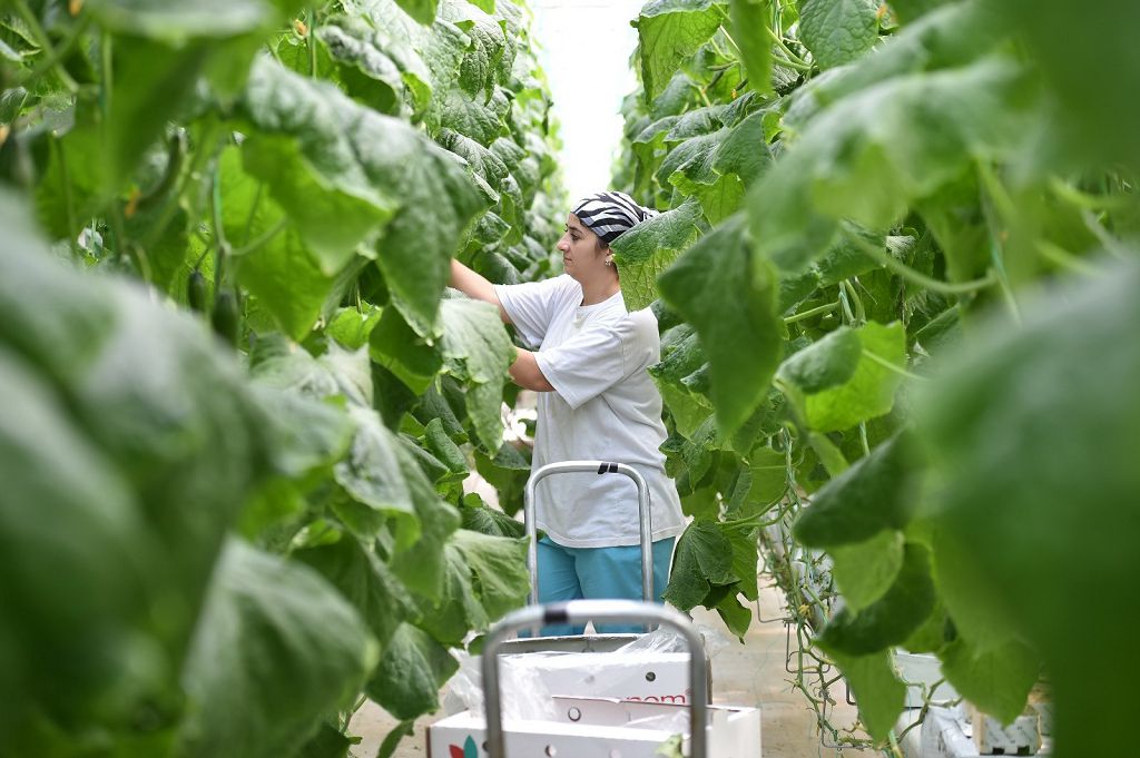 Кооперативтер –  ауыл шаруашылығының өзегі