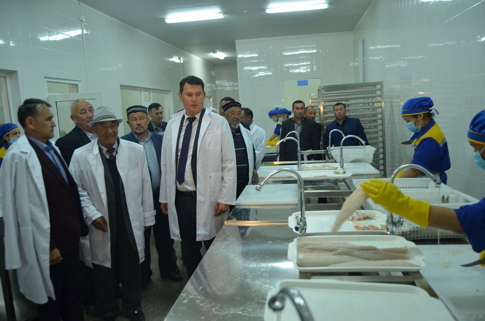 Шардарада балық зауыты ашылды