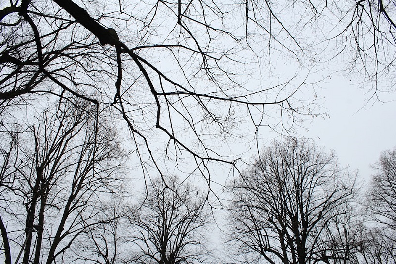 Қарағандыда ауа райы күрт суытады