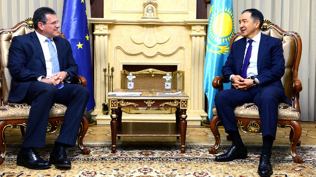 Үкімет басшысы Еурокомиссияның вице-президентімен кездесті