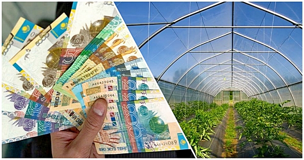 Әкесіне заңсыз  субсидия алып берген