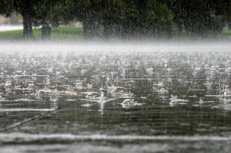 24 маусым күні Қазақстанның басым бөлігінде жаңбыр жауады