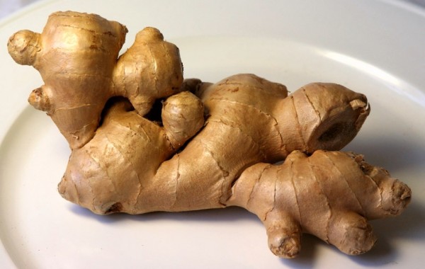 Атыраудың ауасын топинамбур тазарта ала ма?