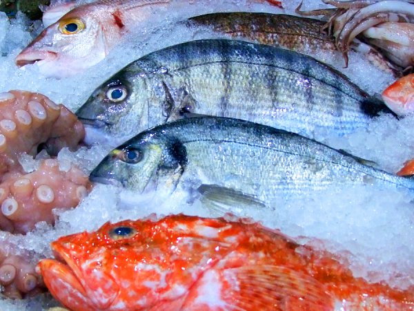 Қызылорда облысында балық экспорты үш есеге артты