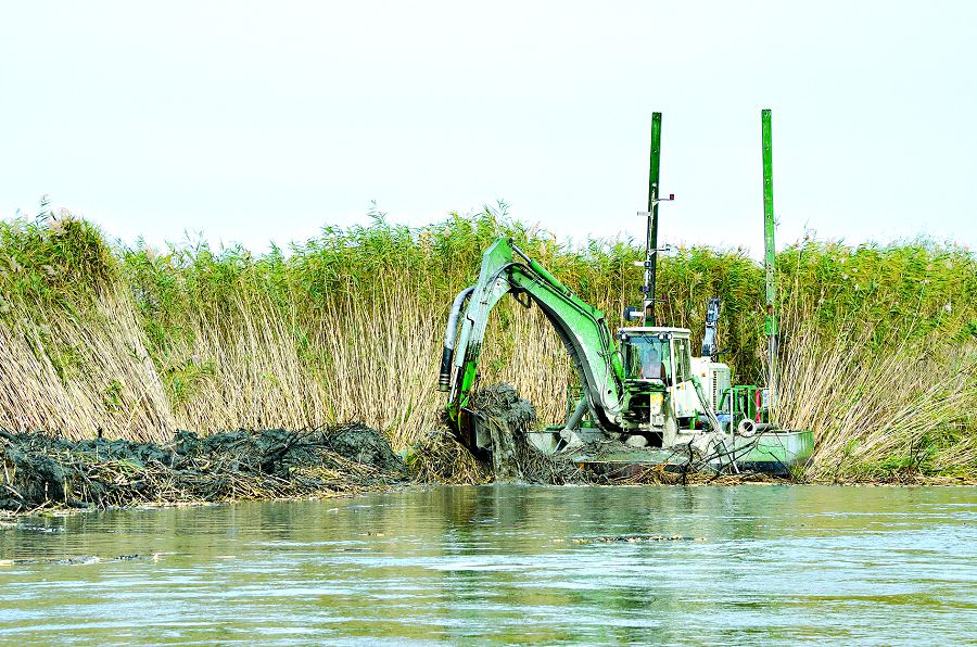 Көлдің көркі – елдің көркі