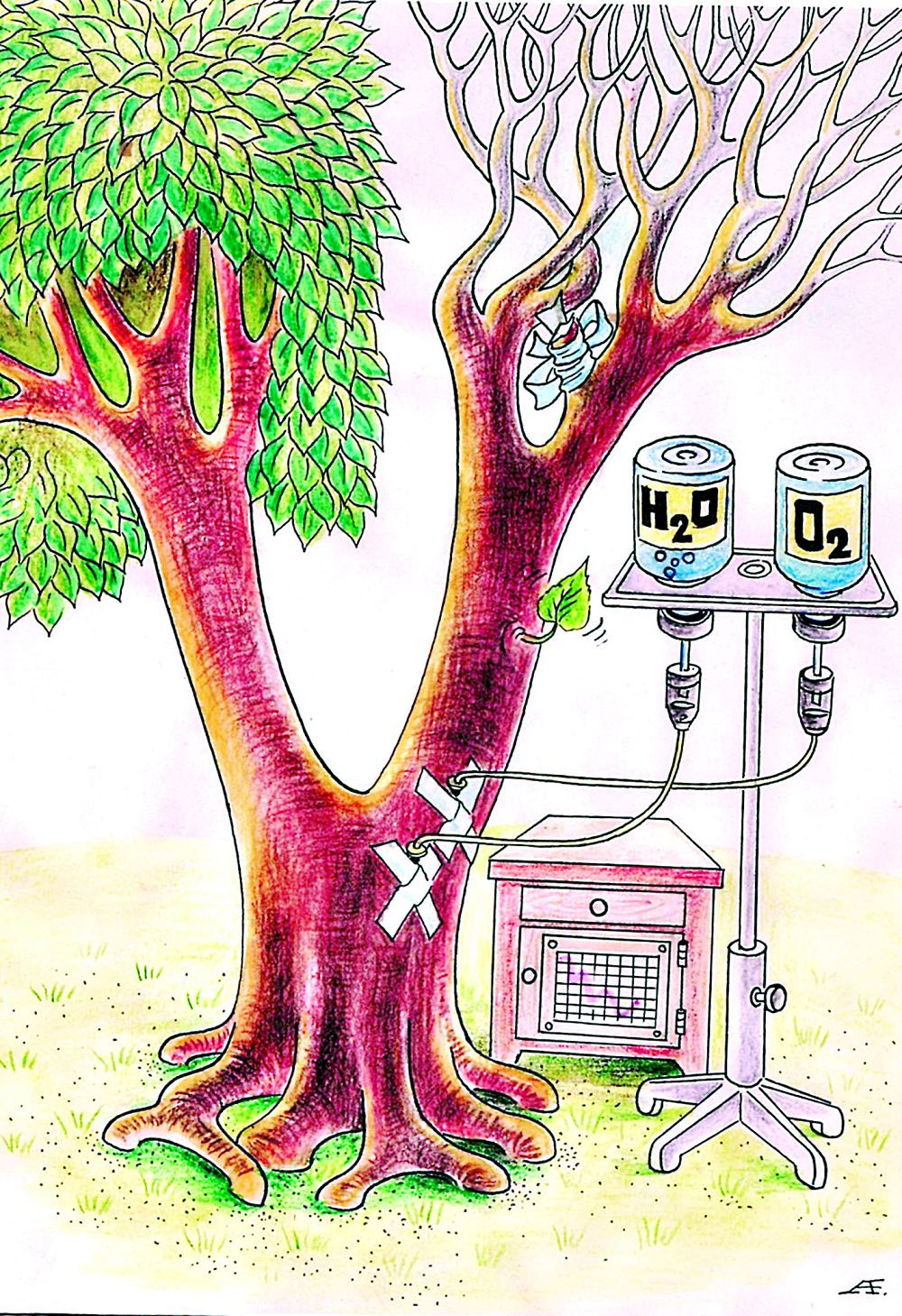 Графинямен порно секс