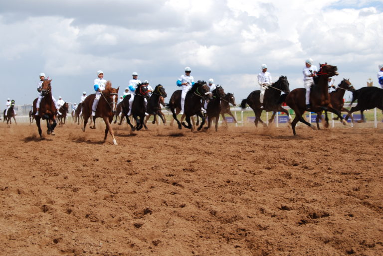 Астанада Бәйге түрлерінен республикалық «ЭКСПО-2017» кубогы өтті