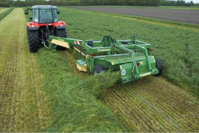 Қазақ – қашанда қазақ! (24.07.2017)