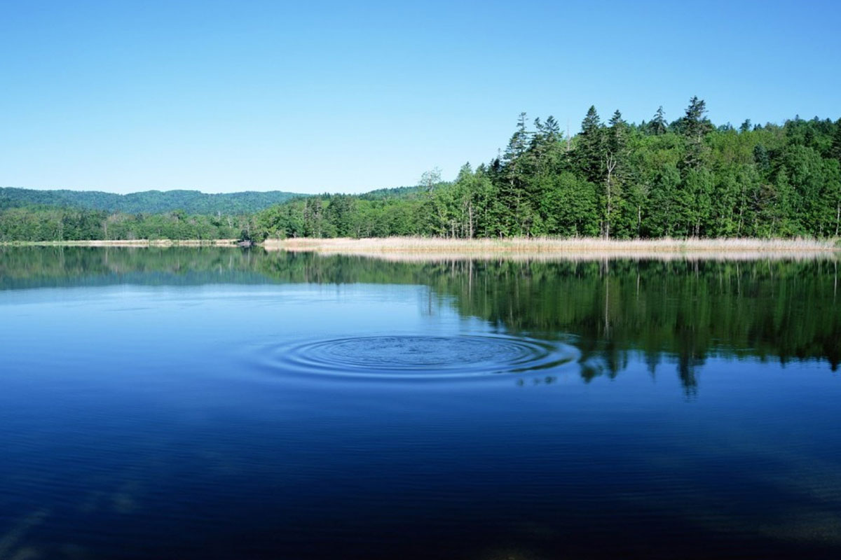 Жан жабырқатқан жайлар, көңіл күрсіндірген көріністер