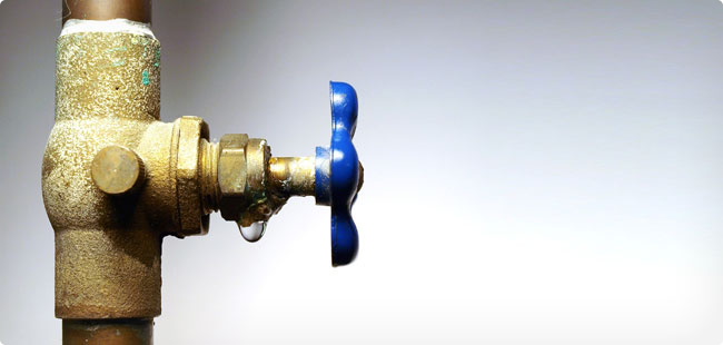 Судың сұрауы субсидияда ма?