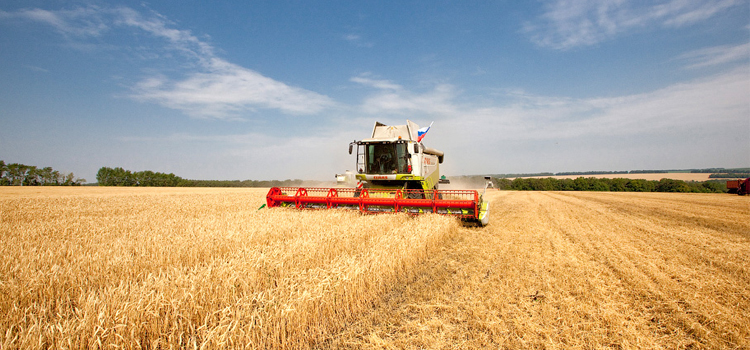 Ауыл шаруашылығы экспортқа ден қойды 