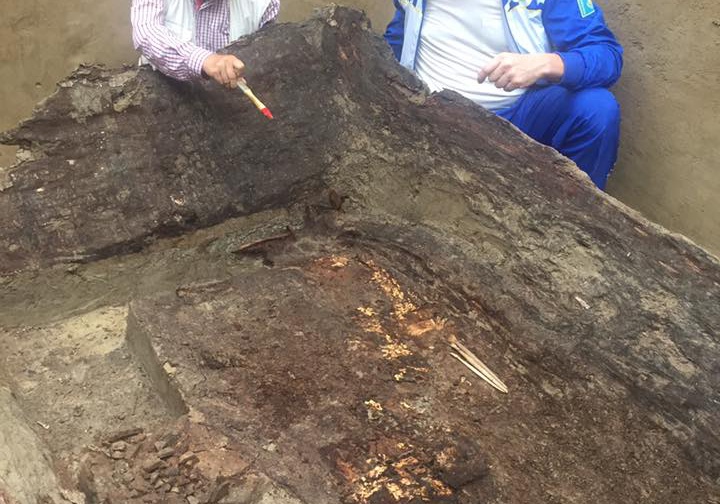 Берелдегі қорғаннан табылған адам ақсүйектер әулетінен шыққан