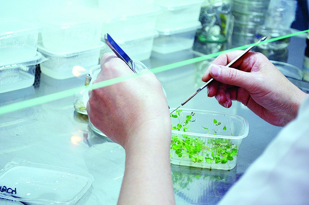 Ауылда жас мамандар үлесі артып келеді