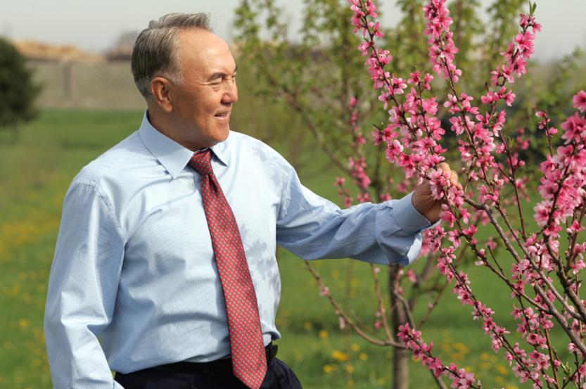 Туризмді дамытудың жолдары қандай?