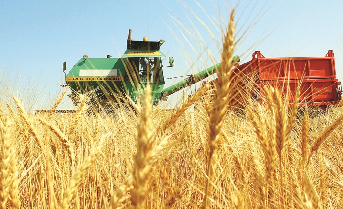 Арпа, бидай ас екен...