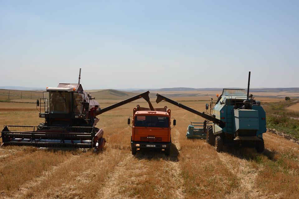 Жамбыл облысында егін ору науқаны толығымен аяқталды