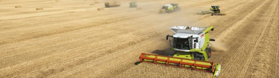 Диқанның кеусені мен қуанышы
