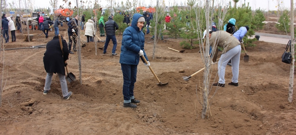 Сенбі күні Астанада 255 ағаш отырғызылады