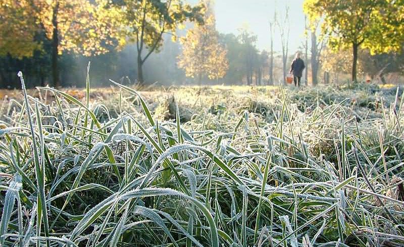 Демалыс күндері еліміздің басым бөлігінде ауа райы жауын-шашынсыз болады