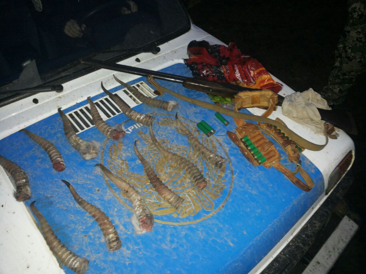 БҚО-да ақбөкен аулаушылар көбейді