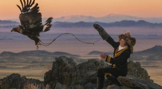 Бүркітші Айшолпанды Гарвард және Оксфорд университеттері оқуға шақырды