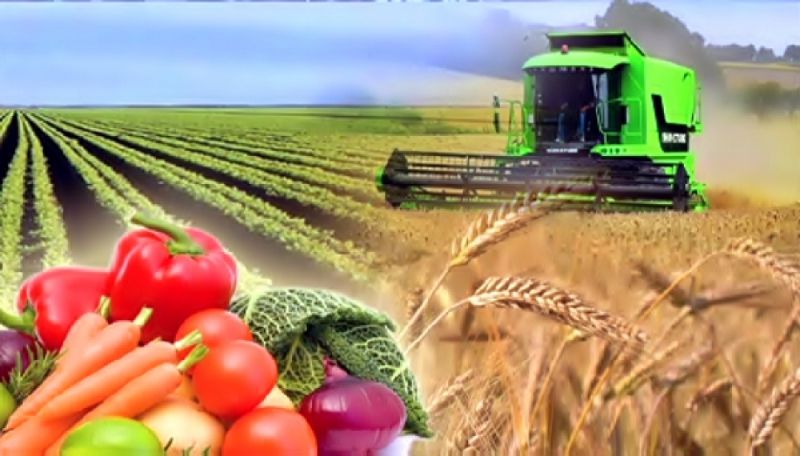 Айқын аграрлық саясат қажет