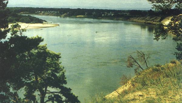 Бесқарағайдағы Шошқалы көлі курорттық аймаққа айналады