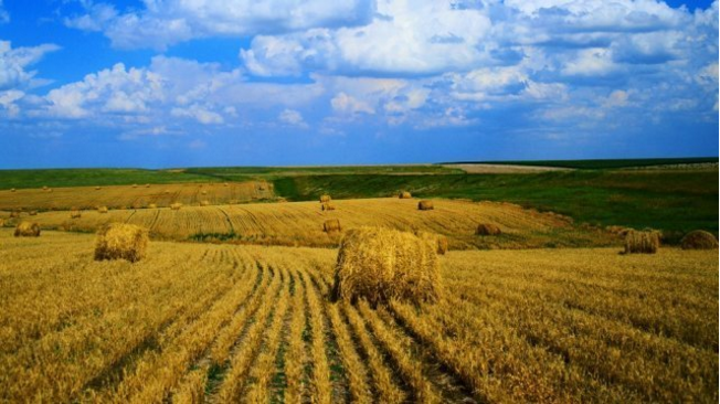 Жерлестеріне қуаныш сыйлаған азамат