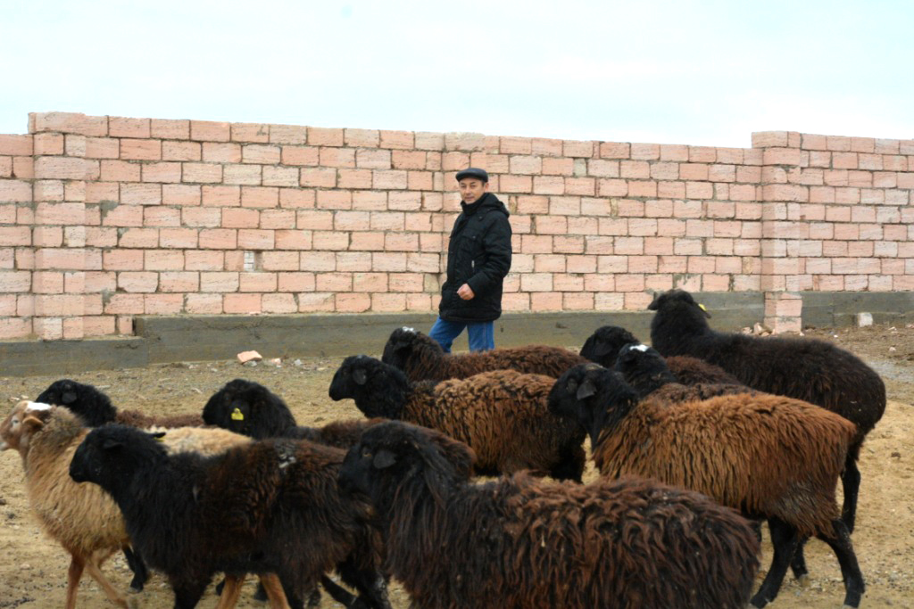 Мұнайлы ауданында 5 мектептің құрылысы басталмақ