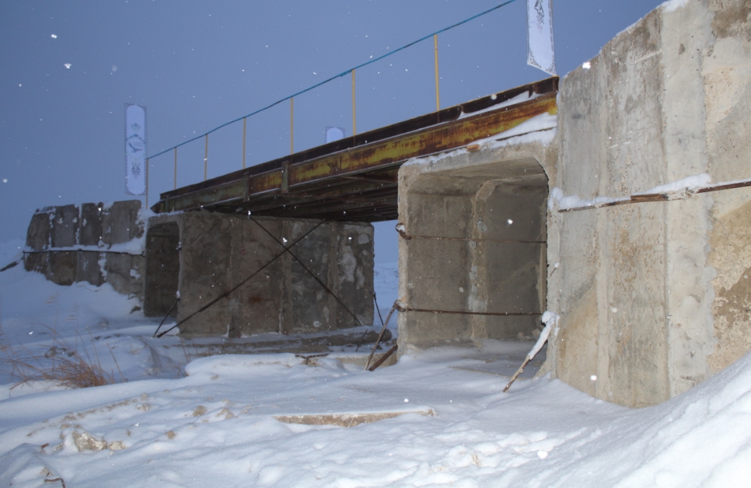 БҚО-да кəсіпкер көпір салды