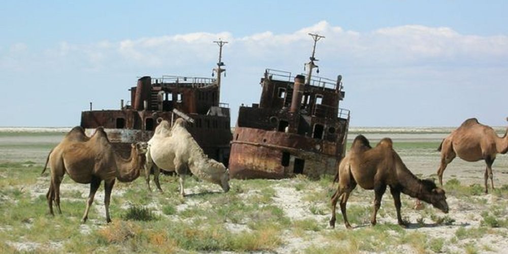 Арал табанындағы «кемелер бейіті»