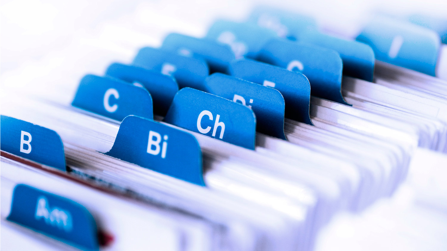 Термин мәселесінде түйткіл көп