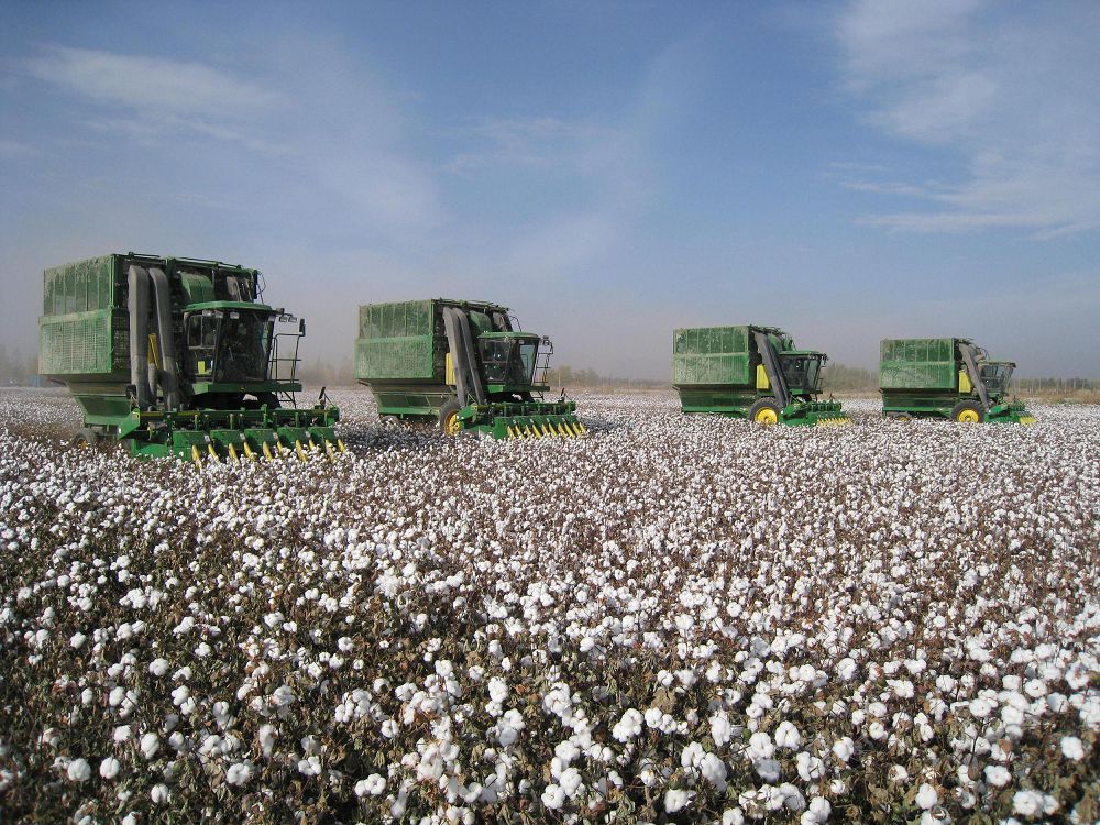 Орнықты дамудың басты құжаты 
