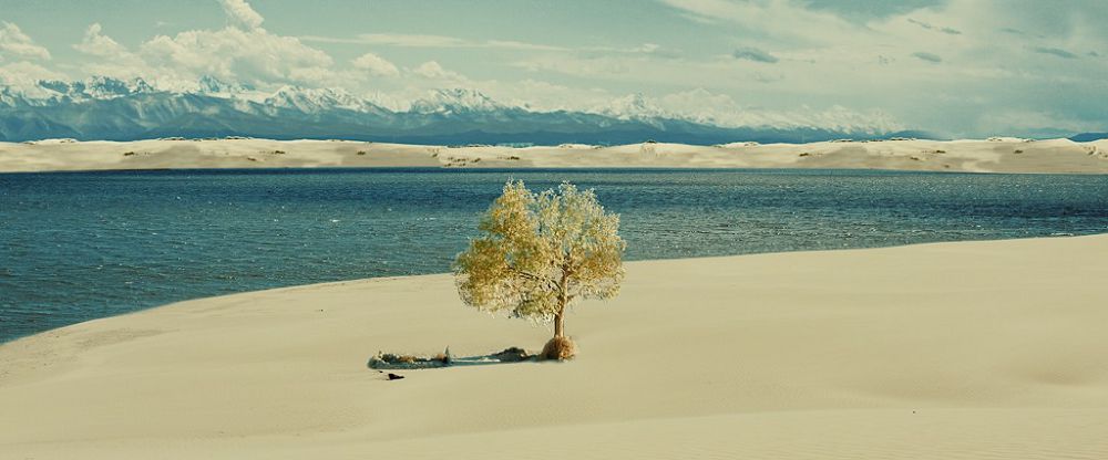 «Оазис» – қасиетті мекен