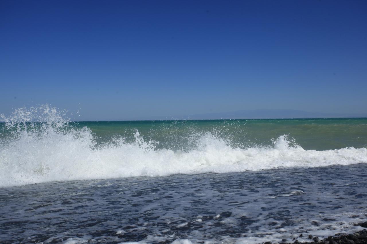 Алакөл жағасын абаттандыру жұмыстары биыл да жалғасады