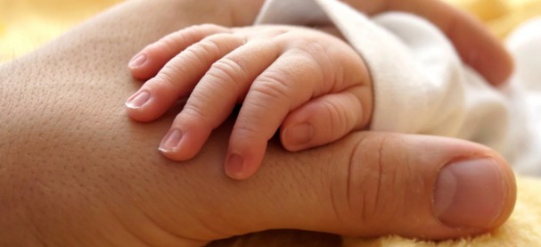 Көкек ана, шарасыз әке, тастанды бала