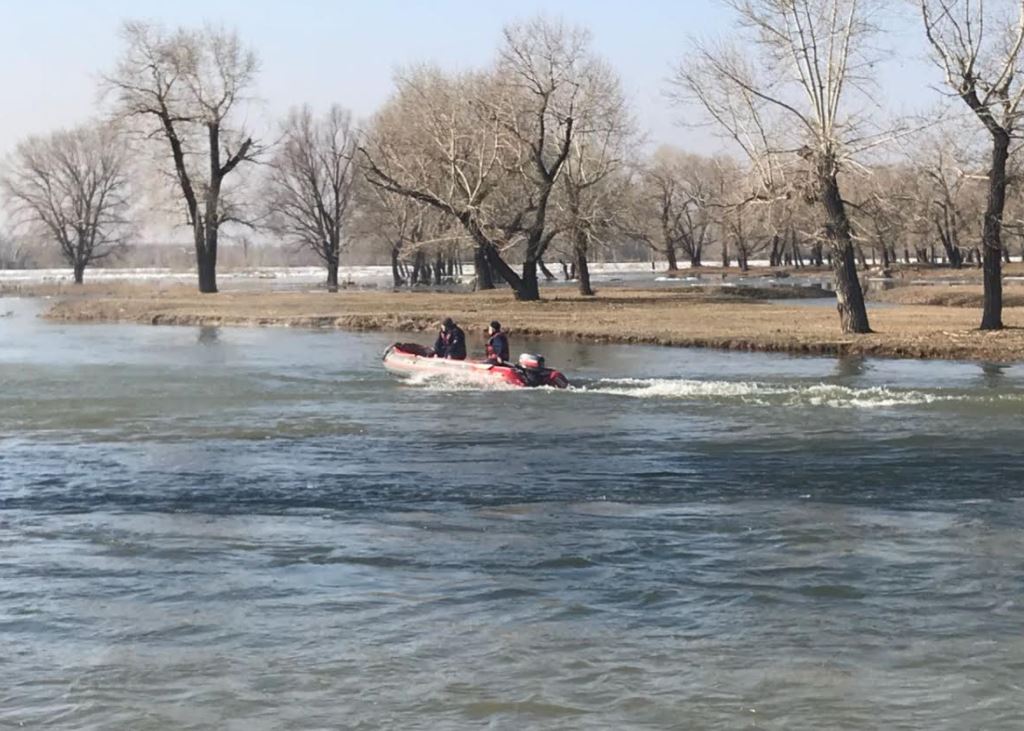 Семейде Ертістің ағысын ертерек жүргізу жұмыстары жалғасуда