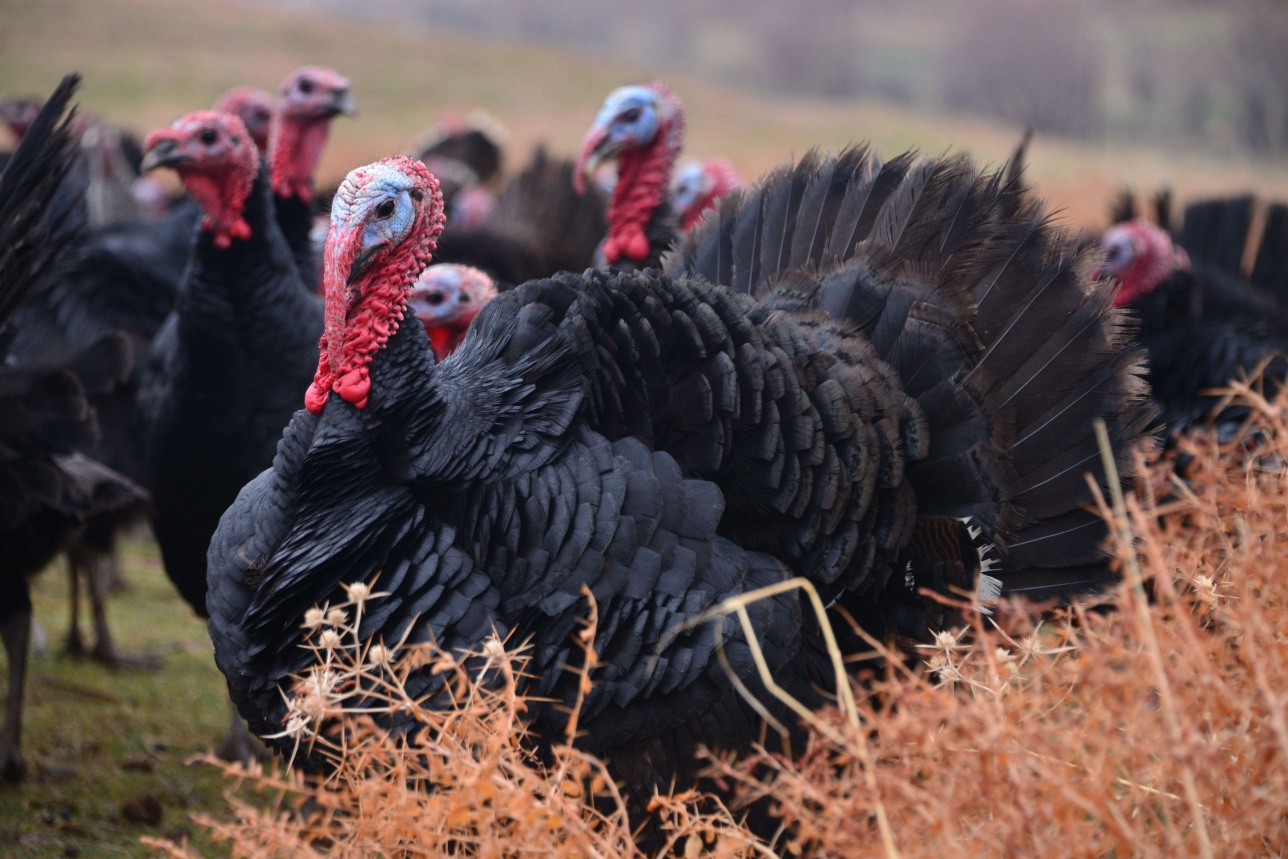 Кәсіпкер Бексейіт Сәрсекбаев