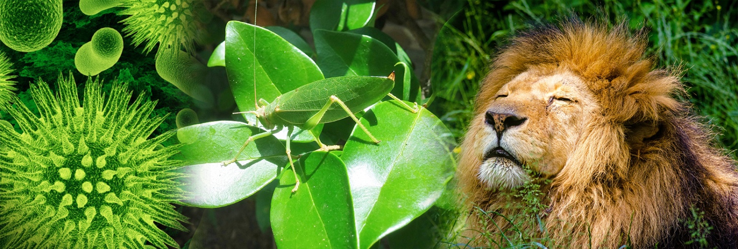 Биологиядан ҰБТ сұрақтары (24.04.2018)