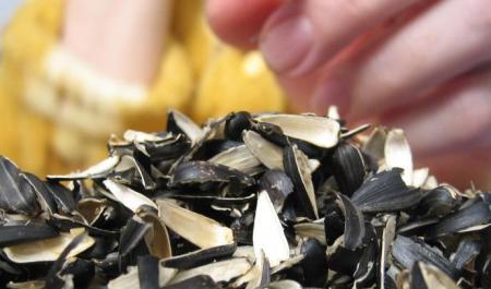 Шекілдеуік шаққандарға айыппұл салынады