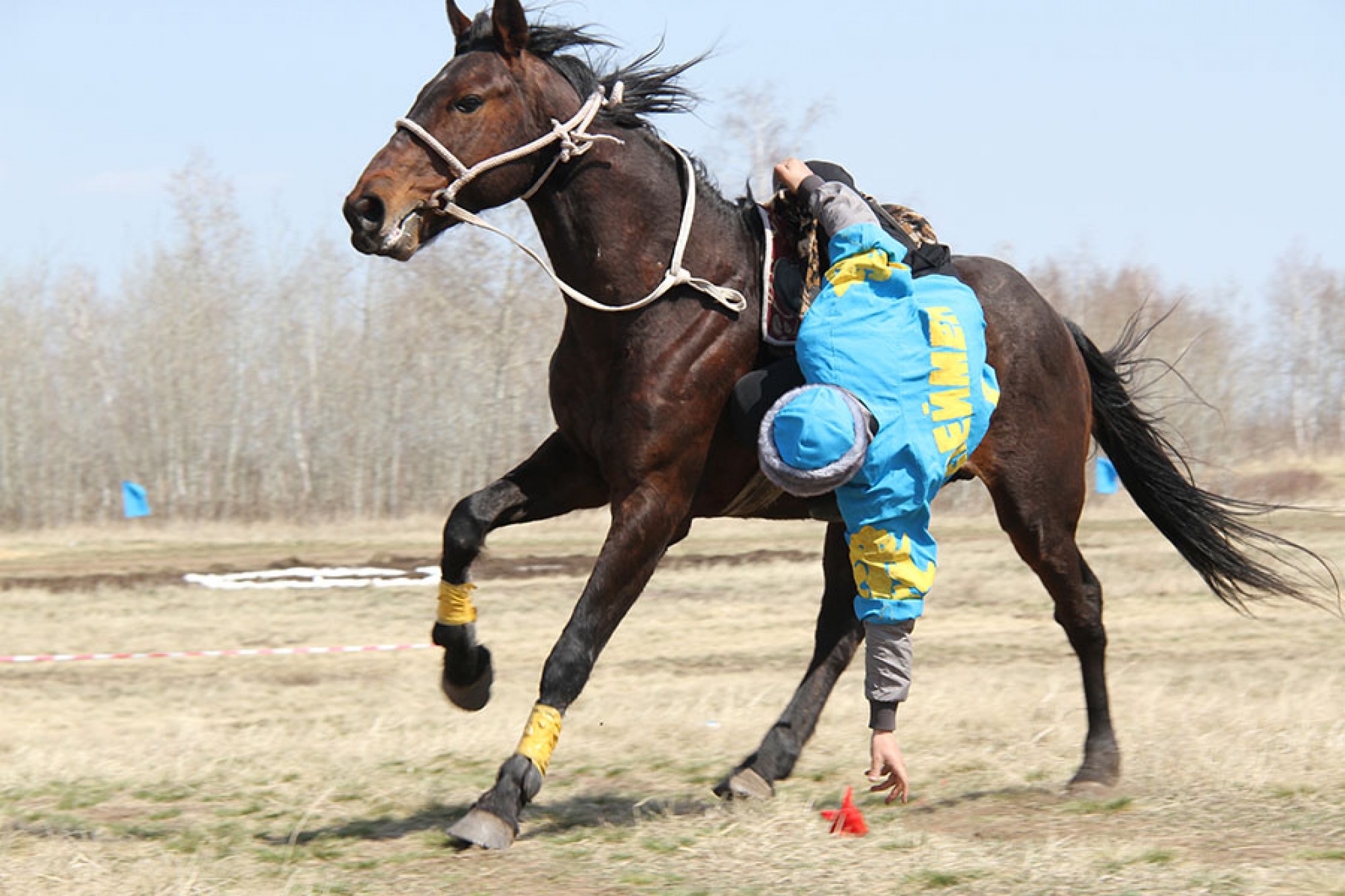 Этноойындар олимпиадасы елімізде өтуі мүмкін