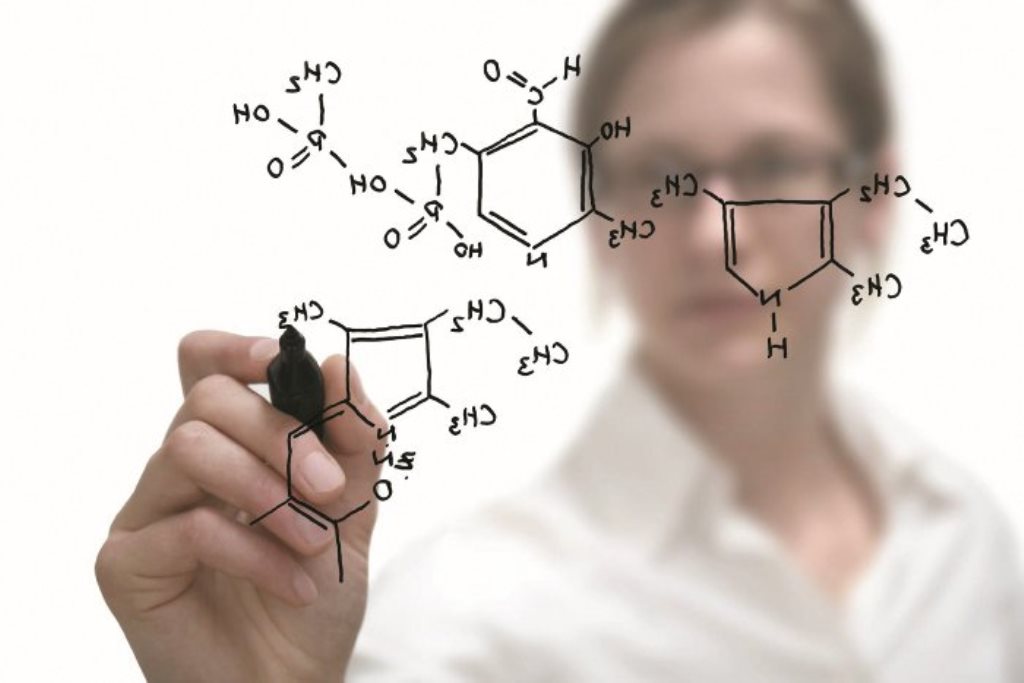 Қыздар Университетінде әлемдік ұйымның өкілдігі ашылады
