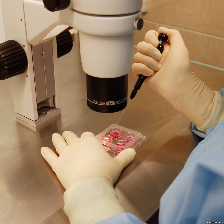 Әлемде аутоиммунды аурулар көбейіп барады