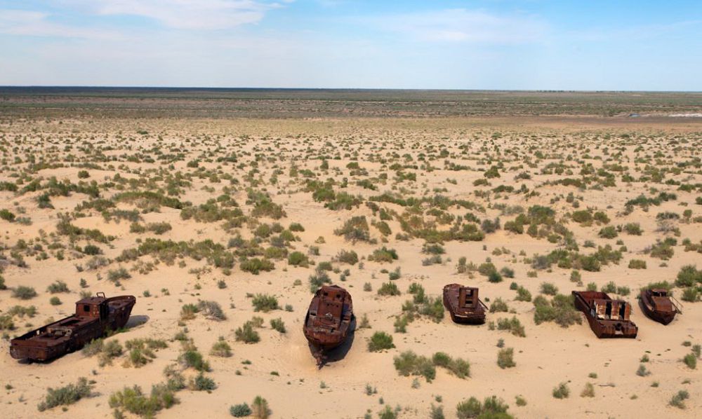 Тұзды аймақтар оазиске айналады