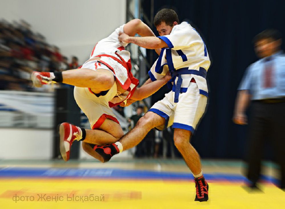 Балп-балп басқан балуандар қайда?