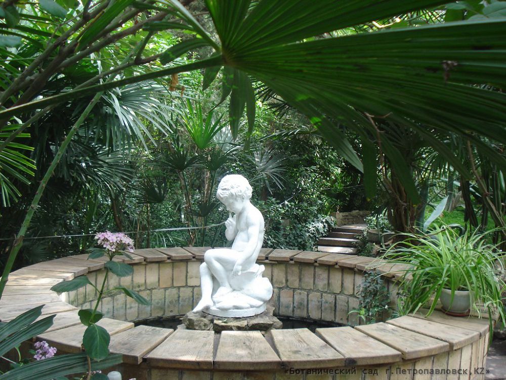 СҚО-дағы ботаникалық бақ қайта жаңғырады